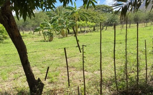 Finca en el espinal