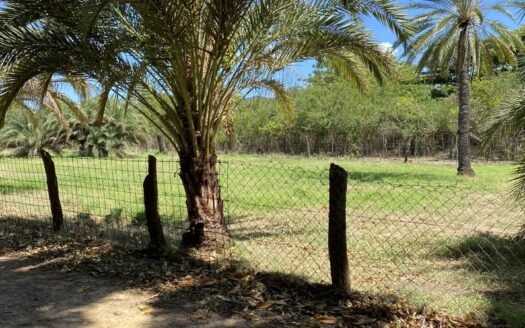 Finca en el espinal