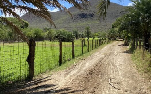 Finca en el espinal