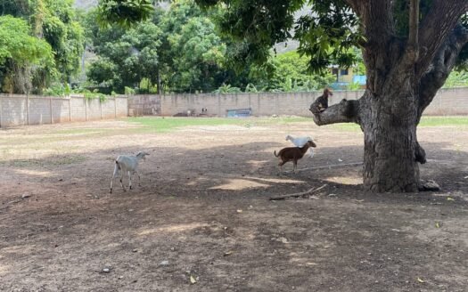 Casa ideal para granja