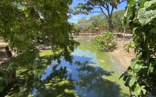Finca en el espinal