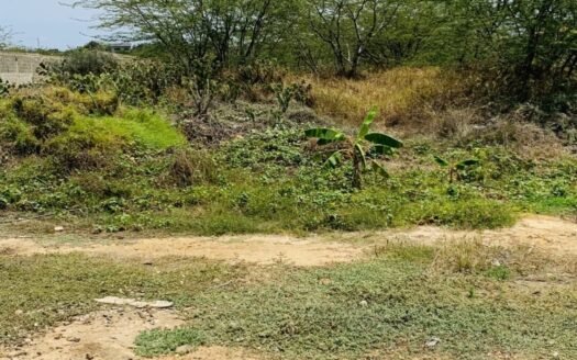Terreno en El Yaque