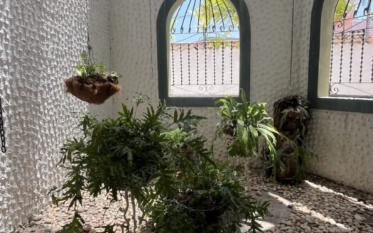 Casa Jorge Coll