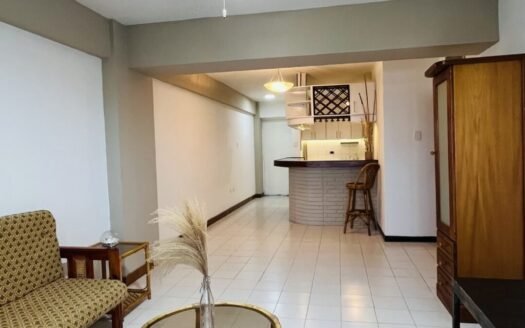 Apartamento centrico