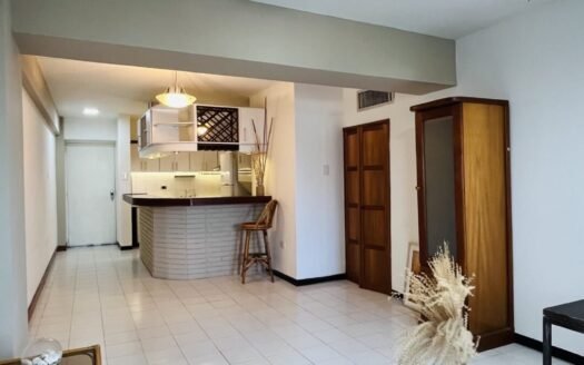 Apartamento centrico