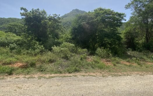 Terreno enfrente de rancho río salado