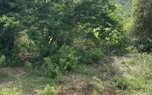 Terreno enfrente de rancho río salado
